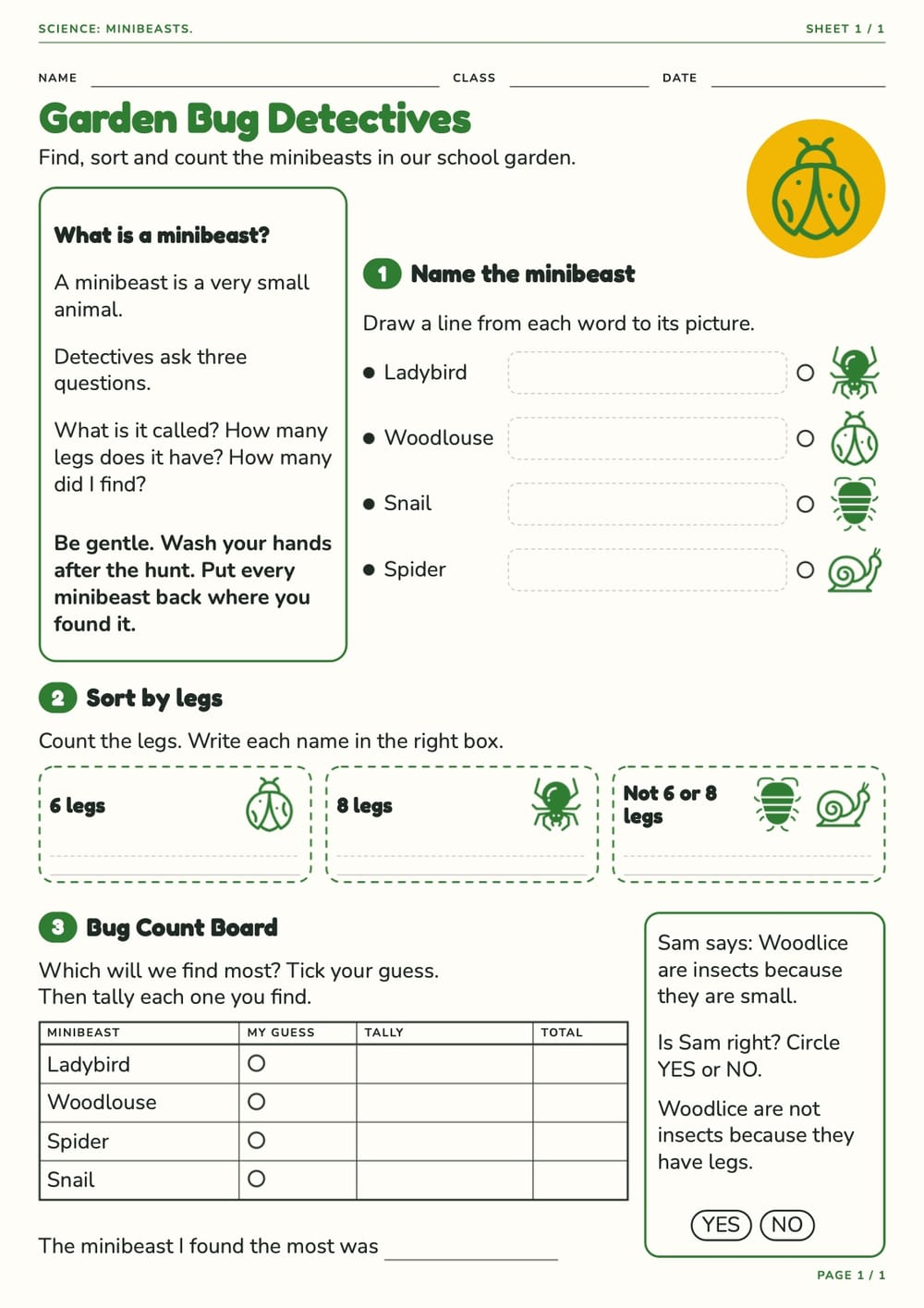 Garden Bug Detectives Worksheet